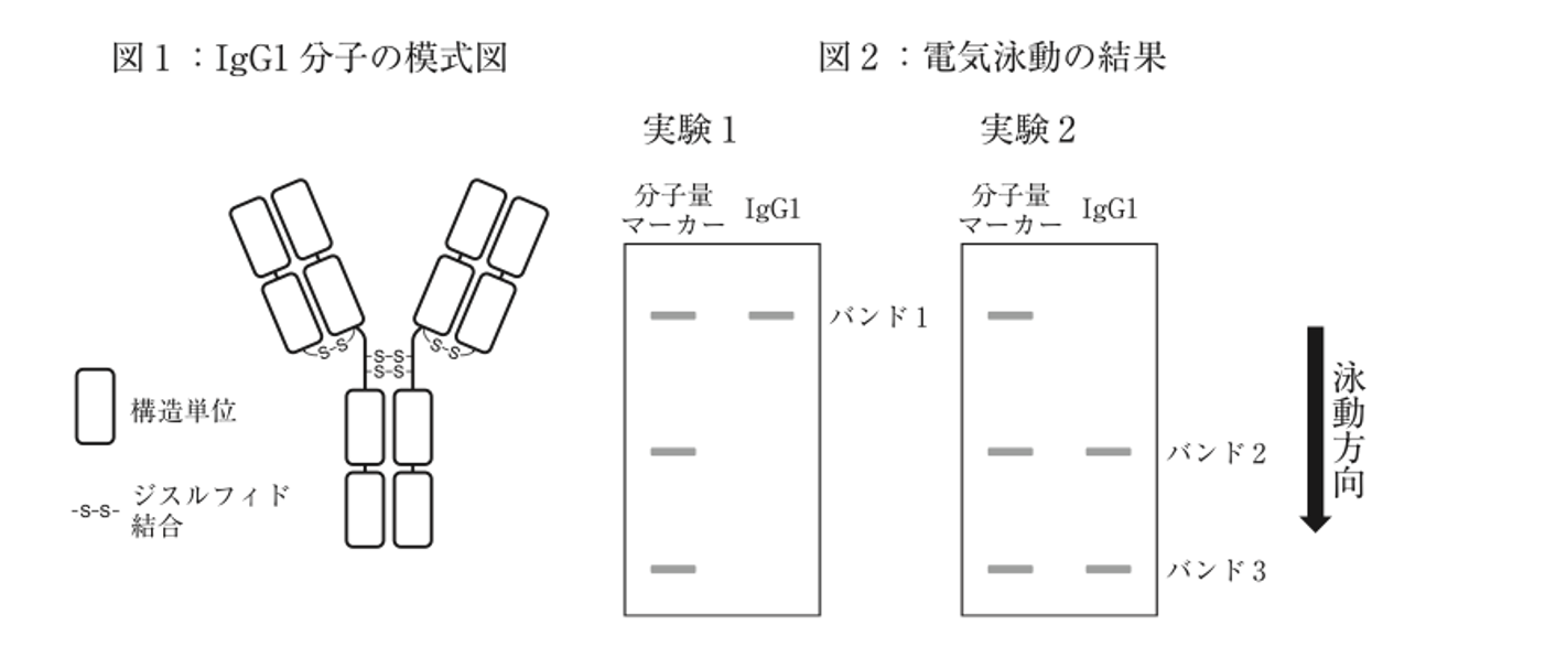 スクリーンショット 2026-07-17 8.32.11.png